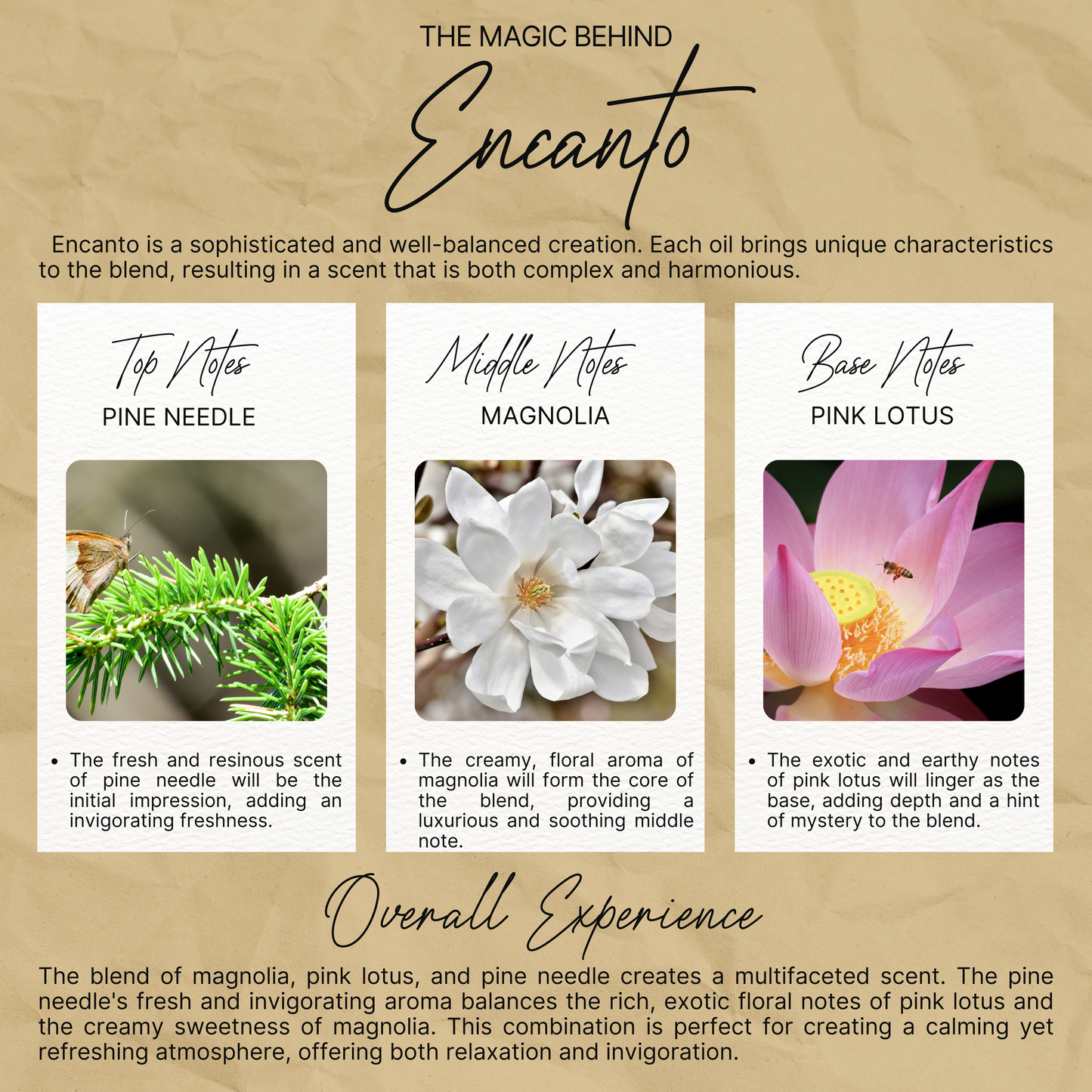 100% Beeswax Candles made with Pure Essential Oils and Cotton Wicks Aromatherapy Candles